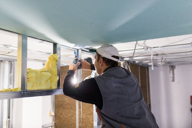 Best Commercial Insulation in Hilbert, WI